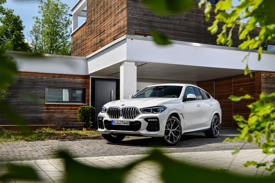  BMW X6 xDrive30d M Sport (G06) 2019 года  (WW) (фото 38 из 38)